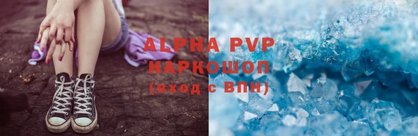 крисы Белокуриха
