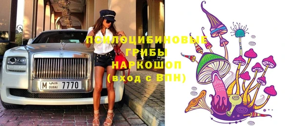 крисы Белокуриха