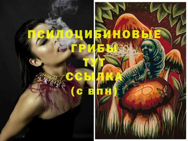 a pvp Беломорск