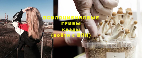 a pvp Беломорск