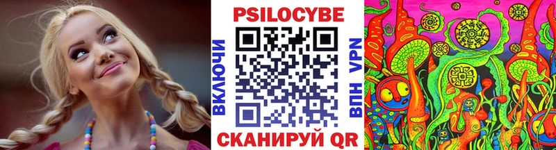 Псилоцибиновые грибы GOLDEN TEACHER  Лыткарино 